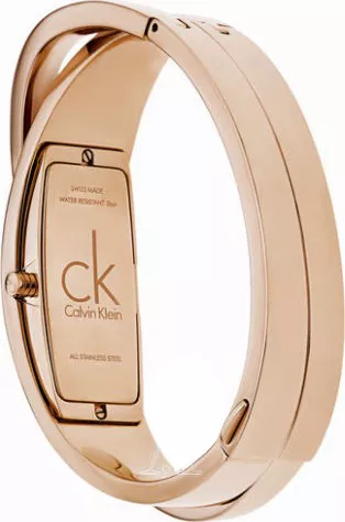 Calvin Klein Feminine Women's Watch 19mm
