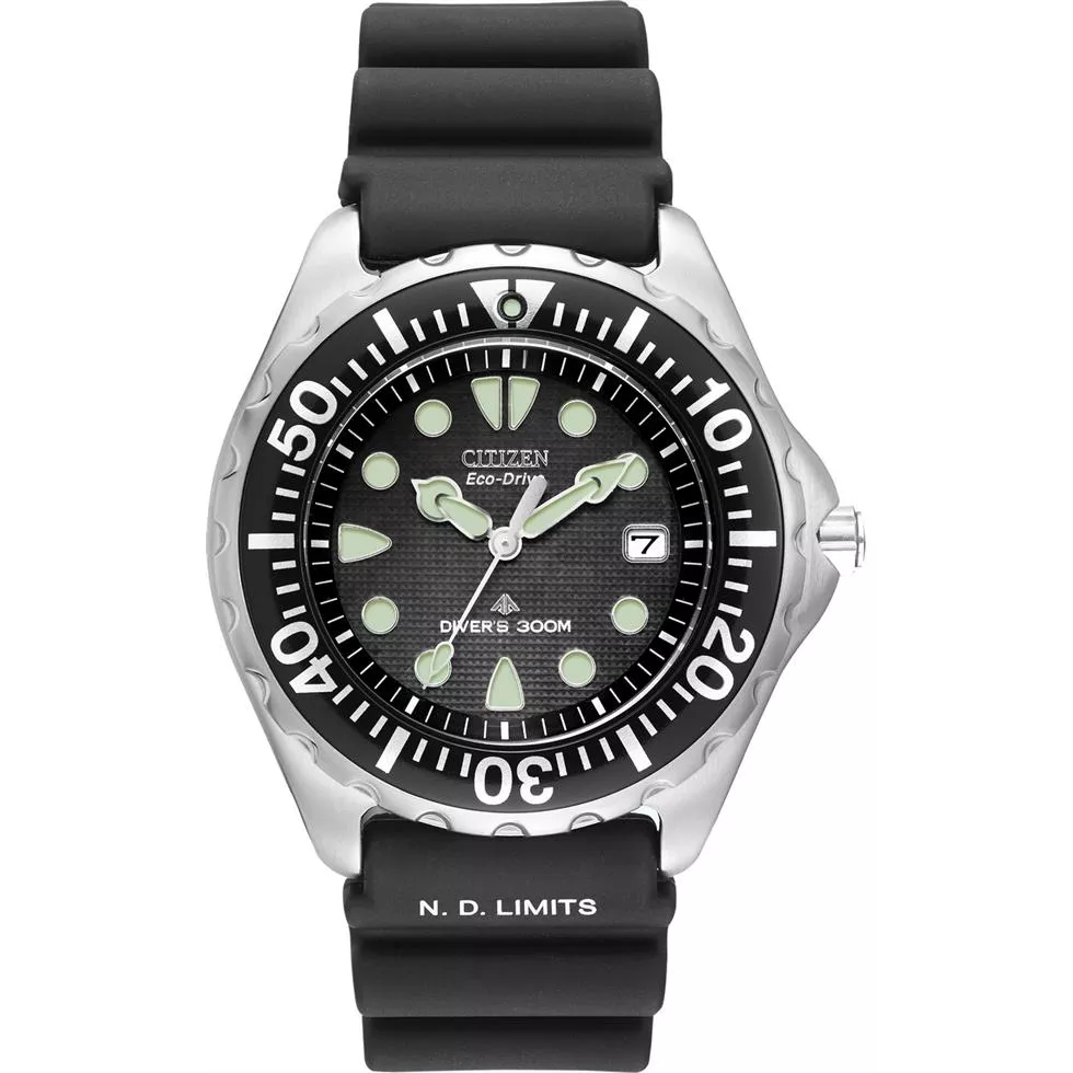  Citizen Stainless Eco-Drive Dive Watch, 43mm