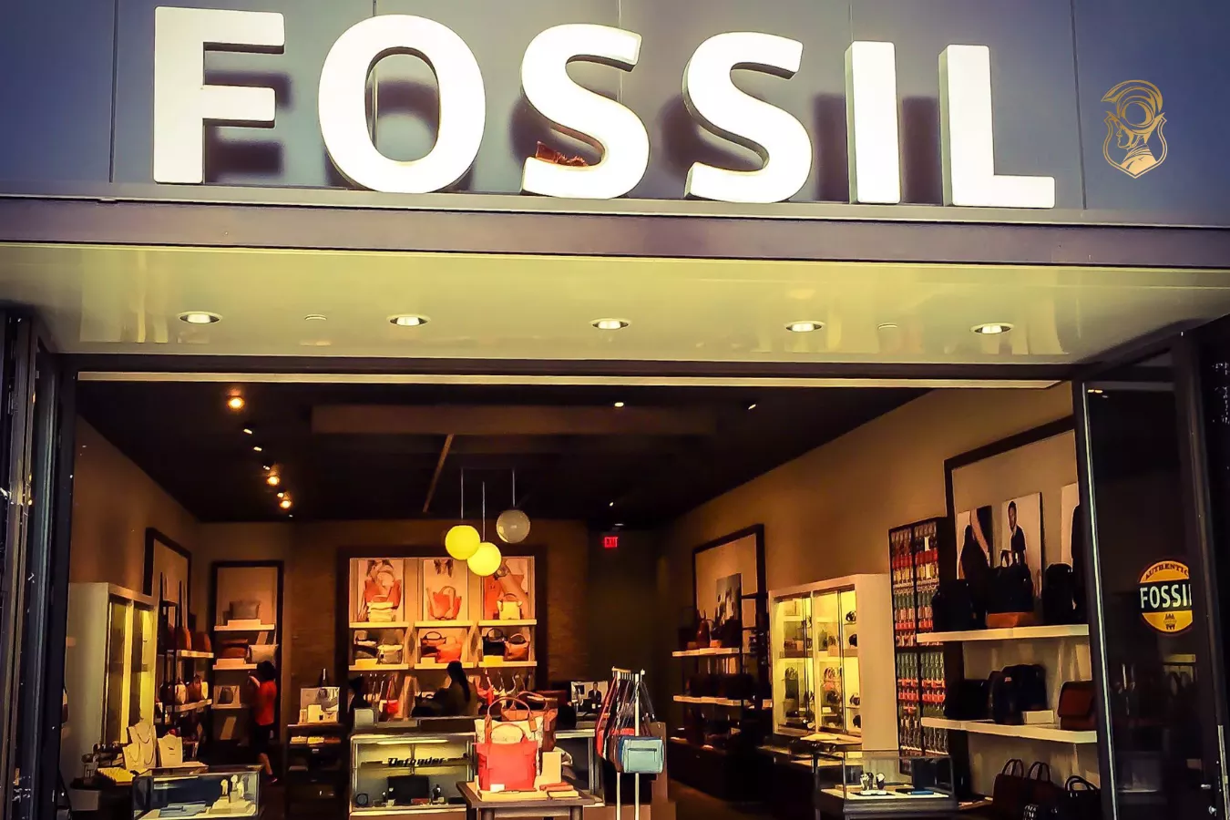 Fossil Collection