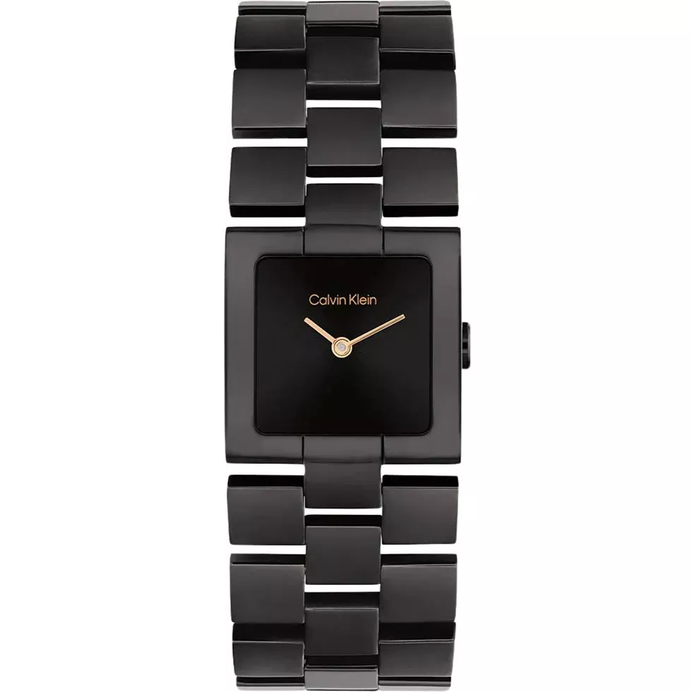 Calvin Klein Meridian Black Watch 22mm