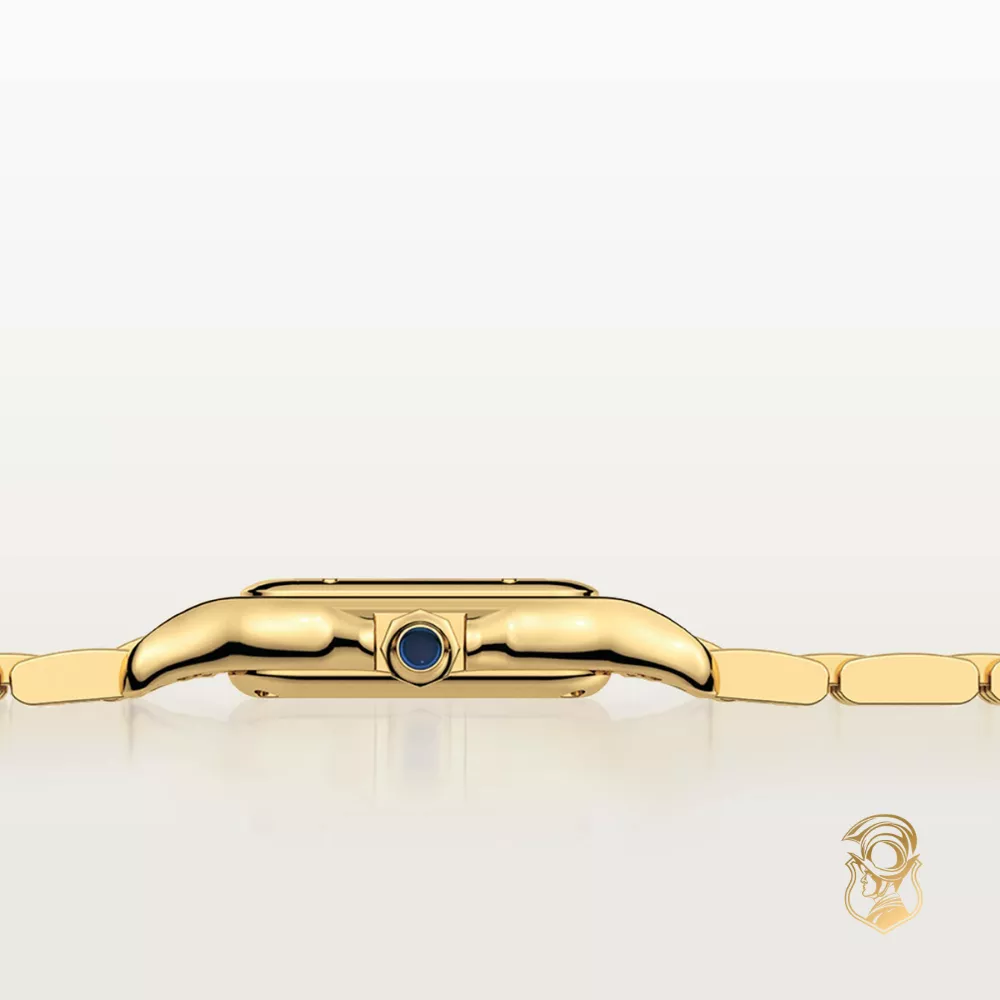 Cartier Panthère de Cartier WGPN0059 Watch 30.3 mm x 22.0 mm