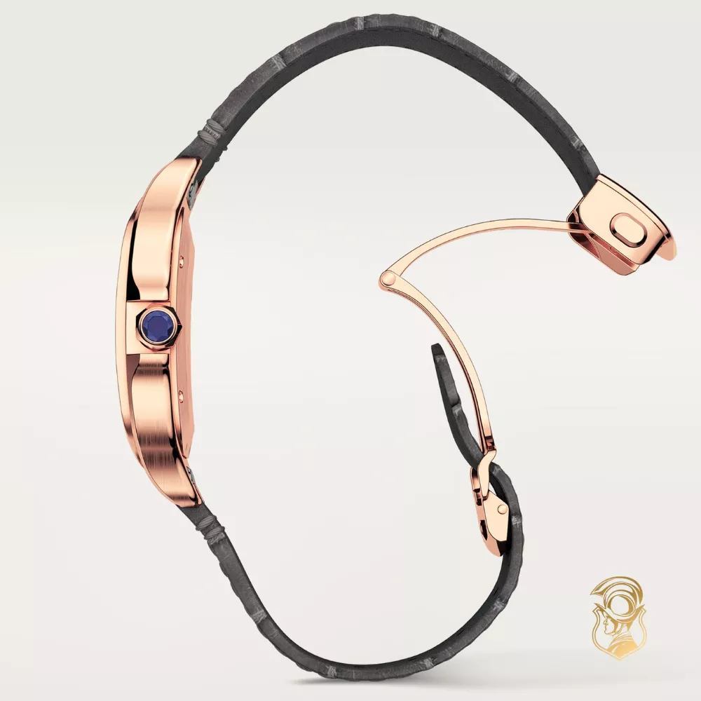 Cartier Santos de Cartier WGSA0019 Watch 47.5 mm x 39.8 mm