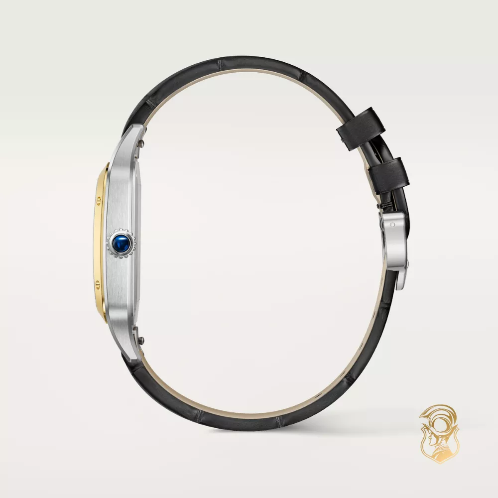 Cartier Santos-Dumont W2SA0034 Watch 46.6 mm x 33.9 mm