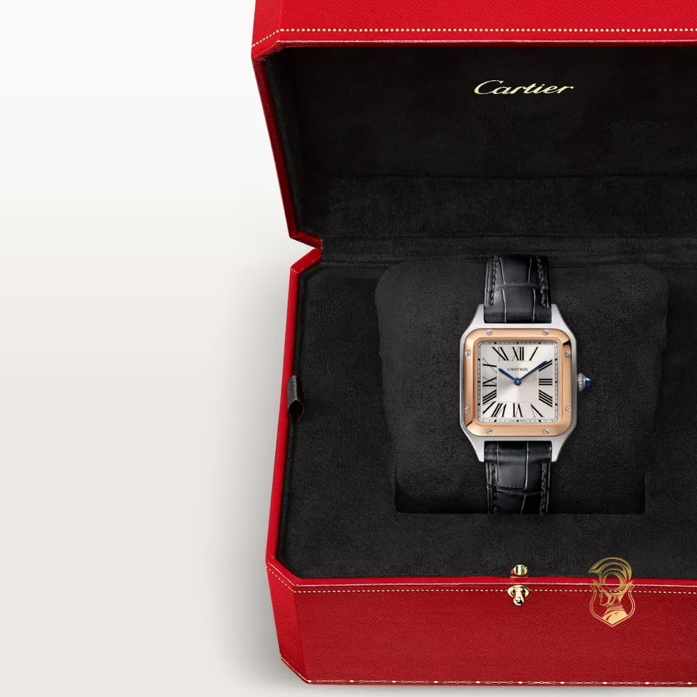 Cartier Santos-Dumont W2SA0038 Watch 38 mm x 27.5 mm