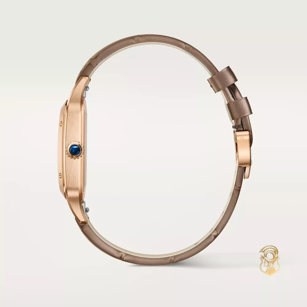 Cartier Santos-Dumont WGSA0112 Watch 46,6 x 33,9mm,