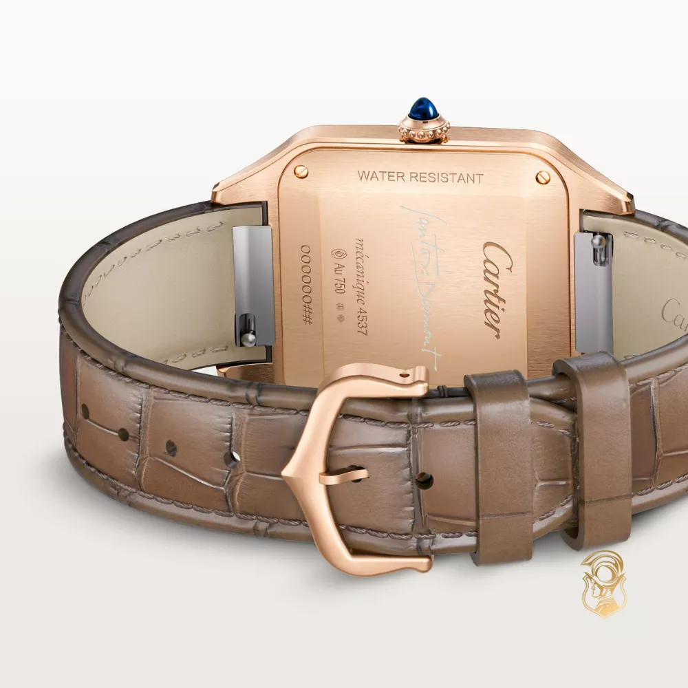 Cartier Santos-Dumont WGSA0112 Watch 46,6 x 33,9mm,