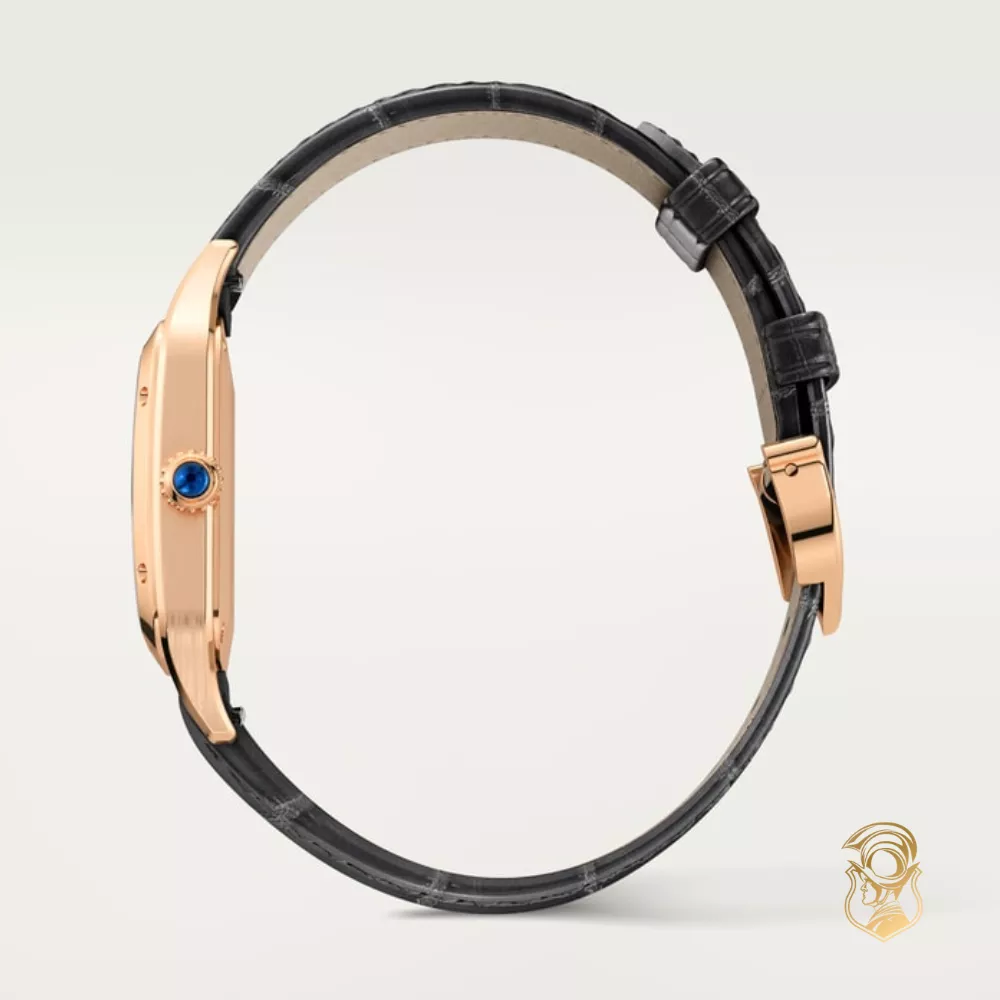 Cartier Santos-Dumont WGSA0117 Watch 38.0 mm x 27.5 mm