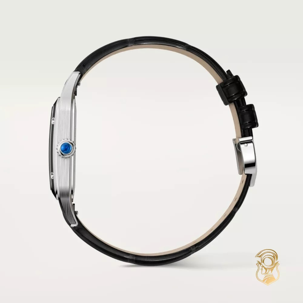 Cartier Santos-Dumont WSSA0046 Watch 43.5mm x 31.4mm