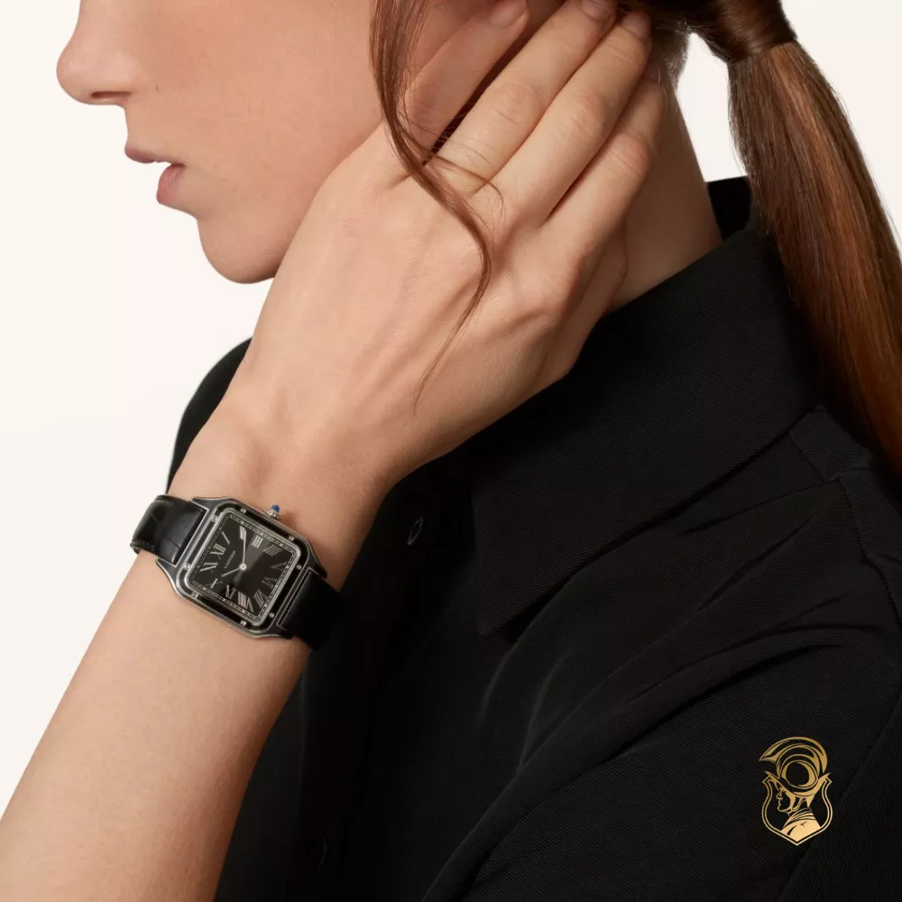 Cartier Santos-Dumont WSSA0046 Watch 43.5mm x 31.4mm