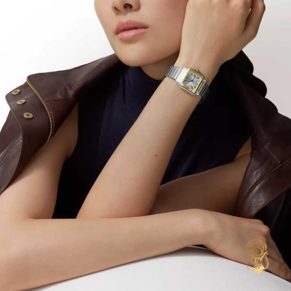 Catier Santos De Cartier Watch 27mm x 34.5mm
