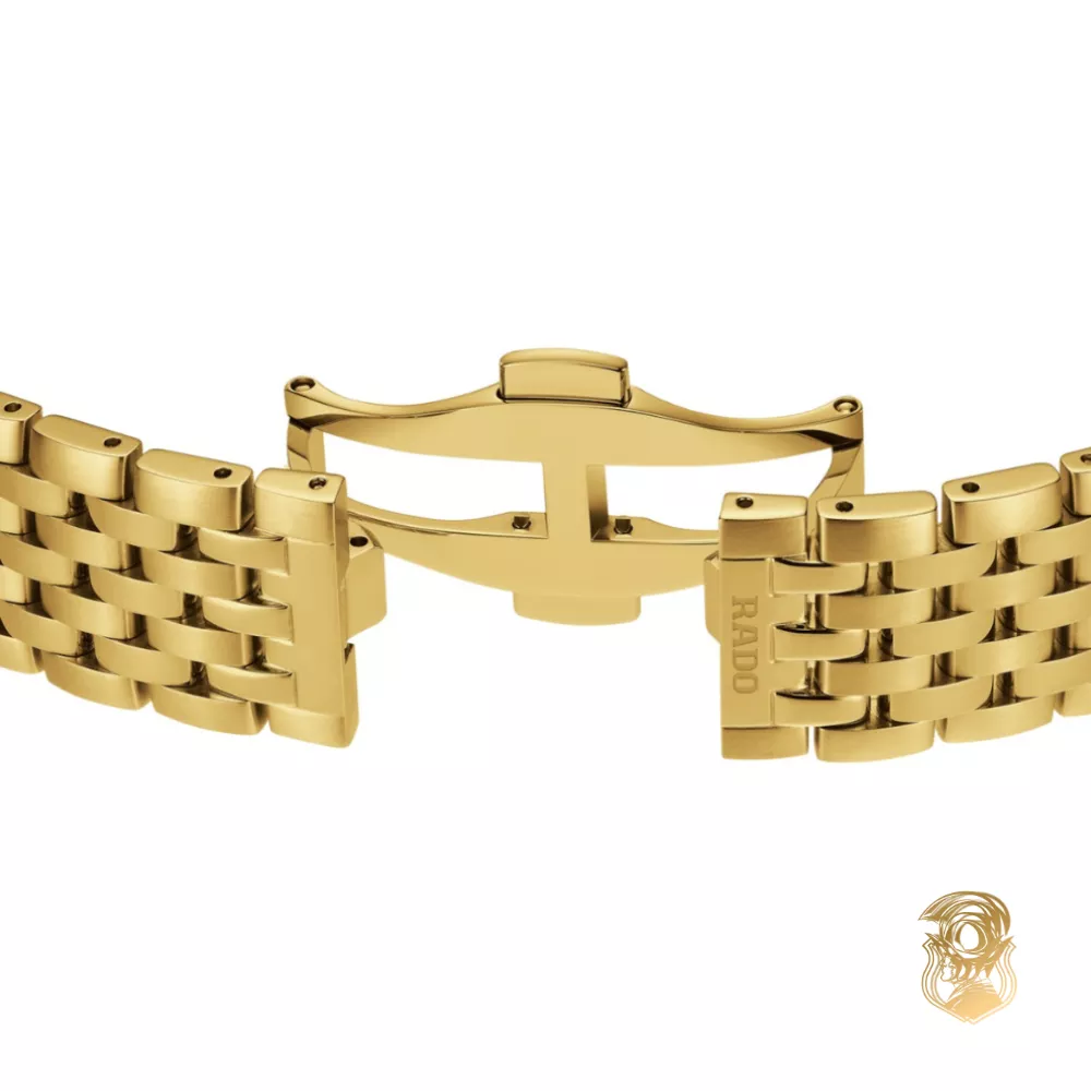 Catier Santos De Cartier Watch 27mm x 34.5mm
