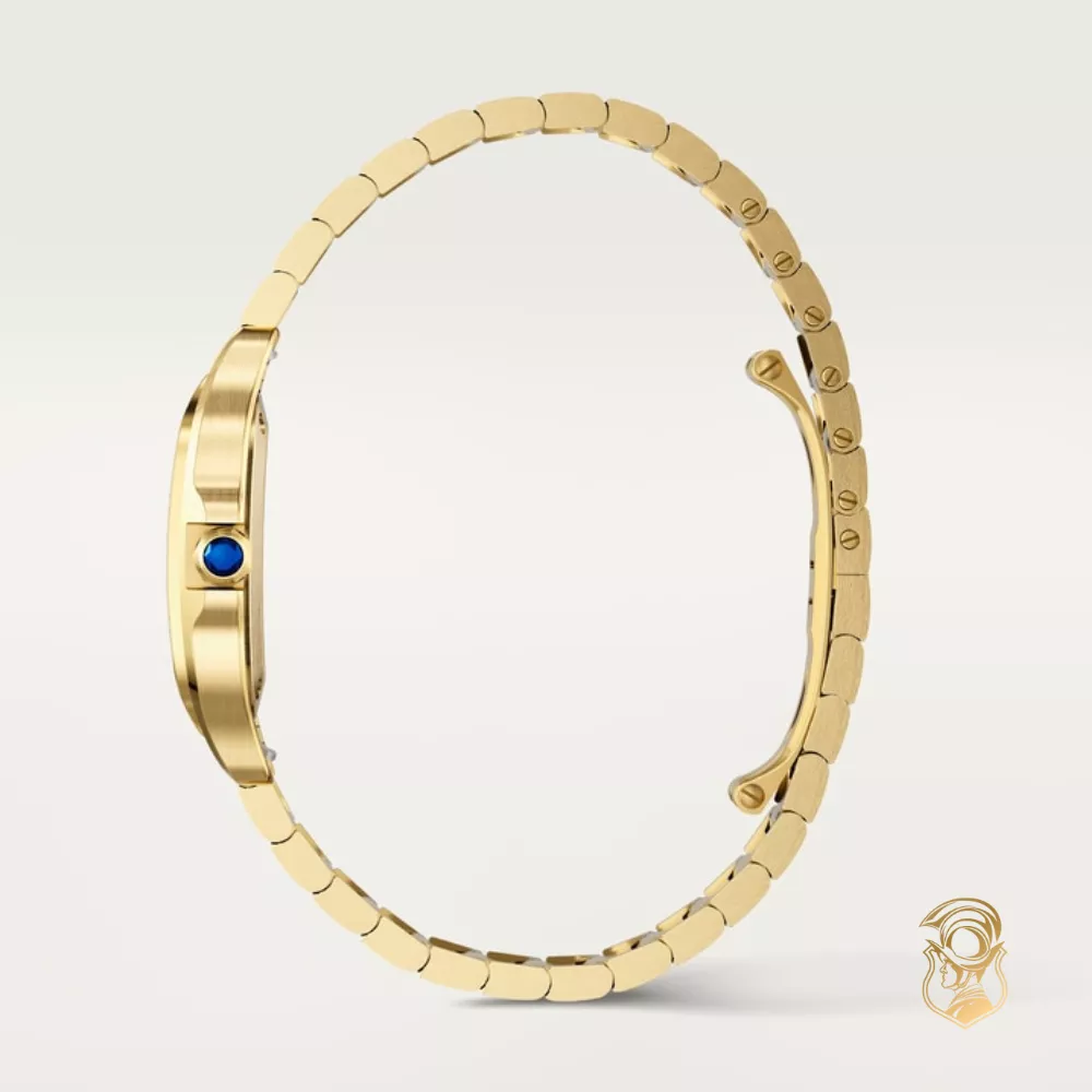 Catier Santos De Cartier Watch 27mm x 34.5mm