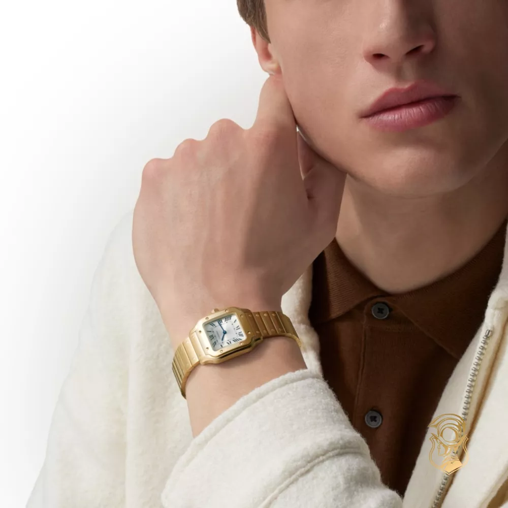 Catier Santos De Cartier Watch 27mm x 34.5mm