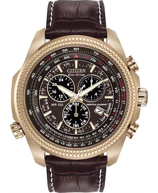 Citizen Eco-Drive Perpetual Calendar Watch 48mm