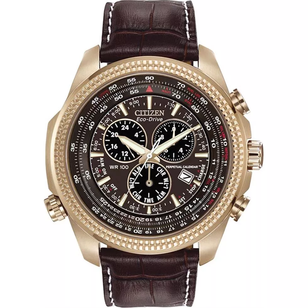 Citizen Eco-Drive Perpetual Calendar Watch 48mm