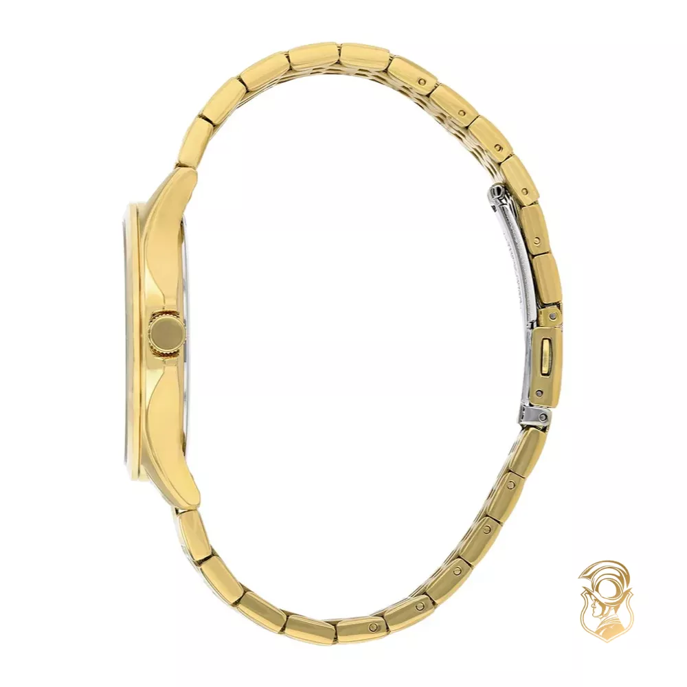 Citizen Gold Steel Watch 41mm