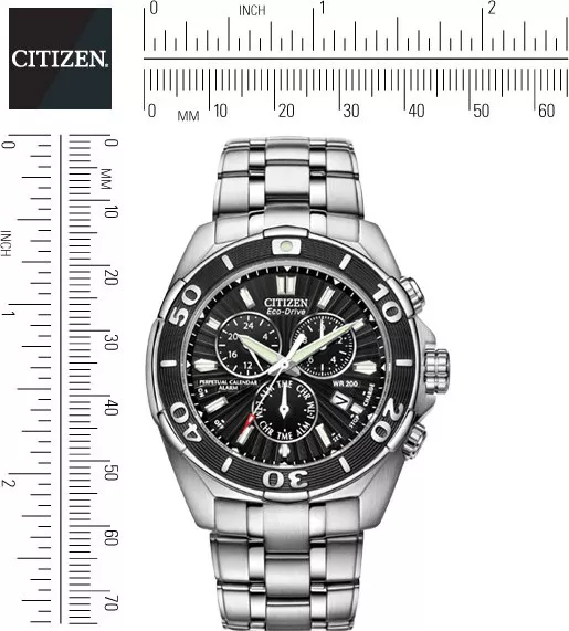 Citizen Courageous Signature Perpetual Watch 43mm