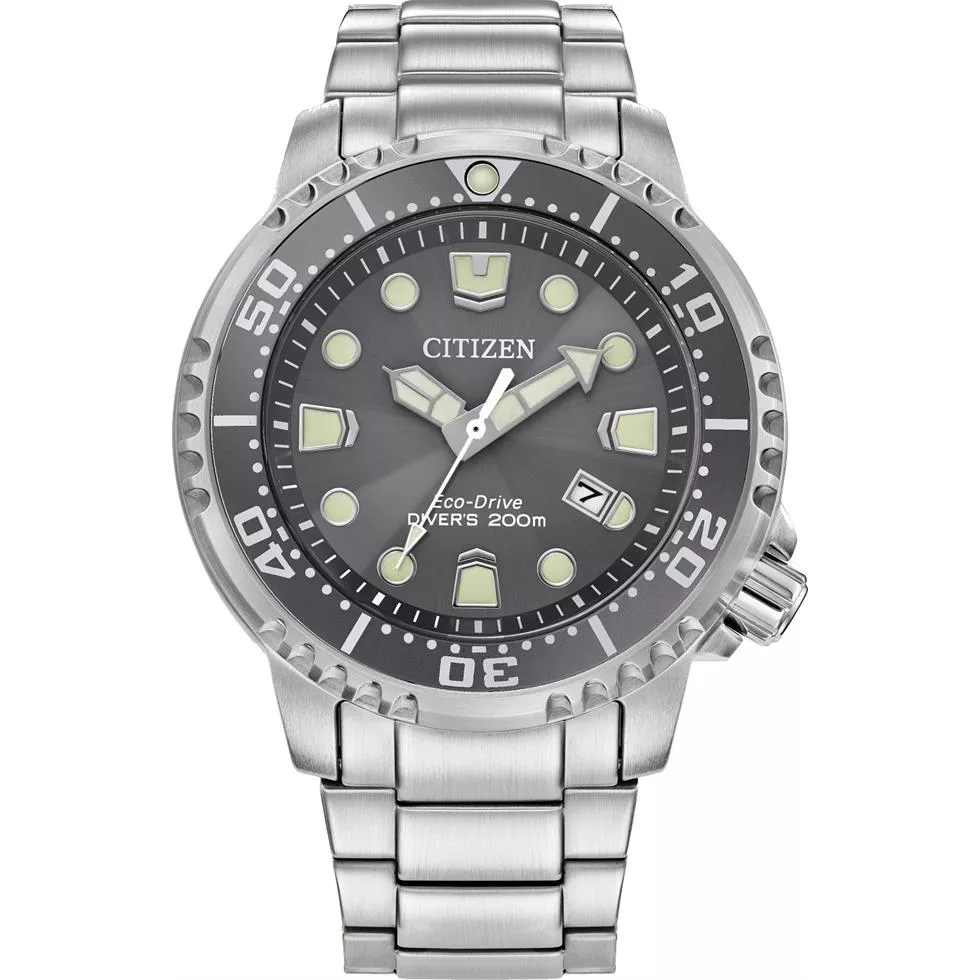 Citizen Promaster Dive Watch 43mm