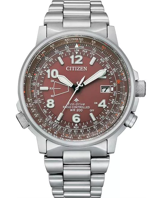 Citizen Promaster Sky Silver Tone Watch 44.2mm