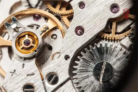 Tìm hiểu dao động là gì? Tần số dao động đồng hồ & cách chọn chuẩn xác