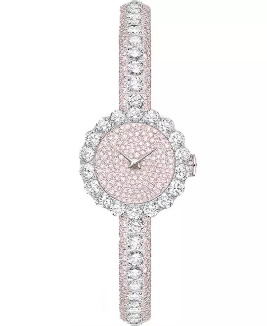 Christian Dior La D De Dior CD040166M001 Diamonds Watch 21