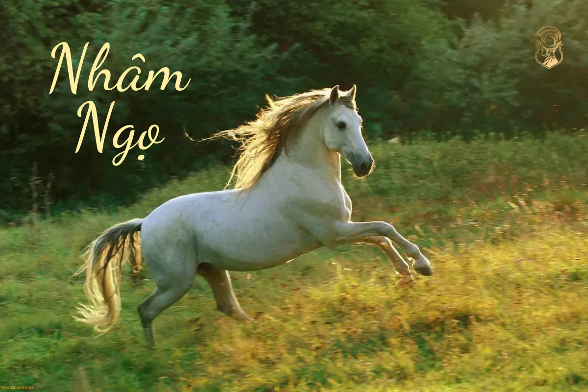 Tuổi Ngọ nên đeo đồng hồ gì