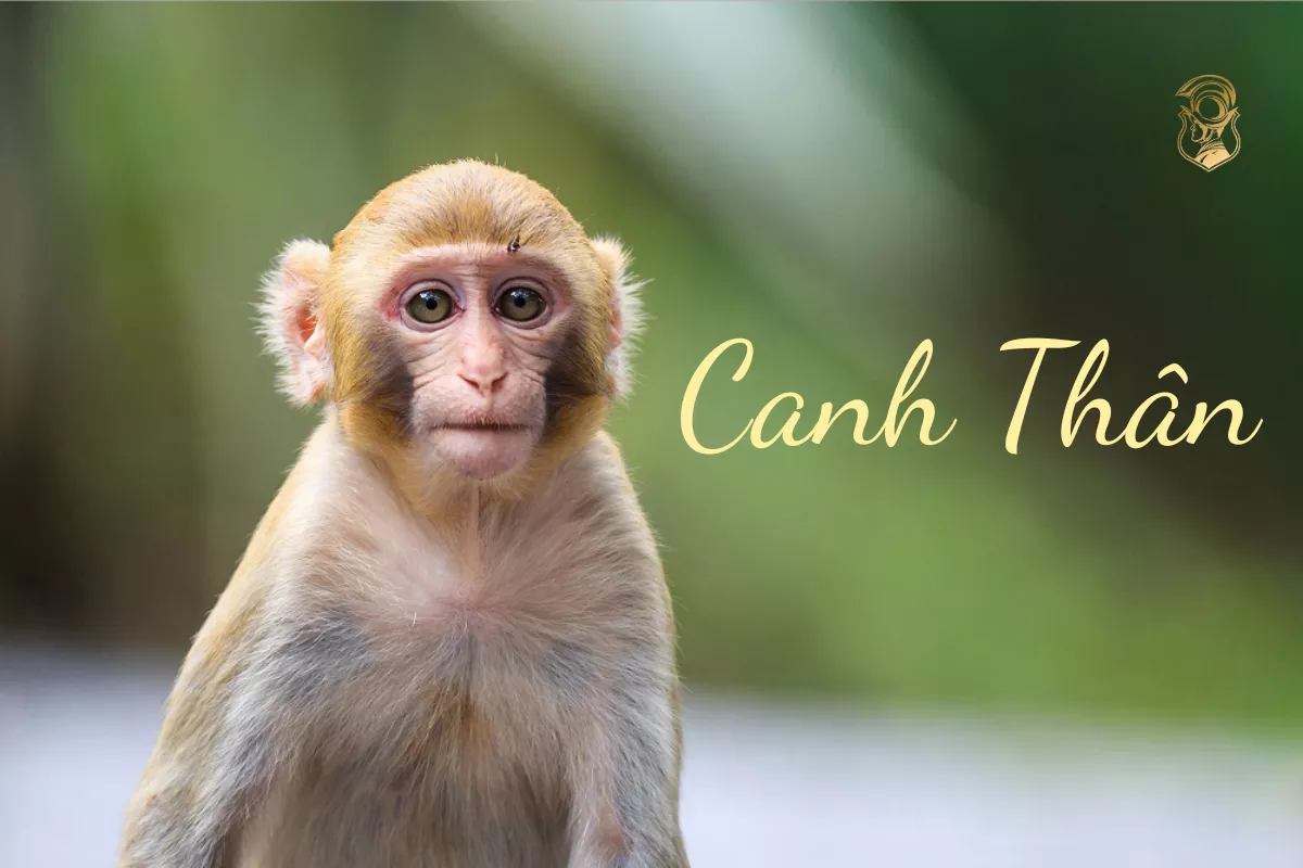 Đồng hồ dành cho người tuổi Thân