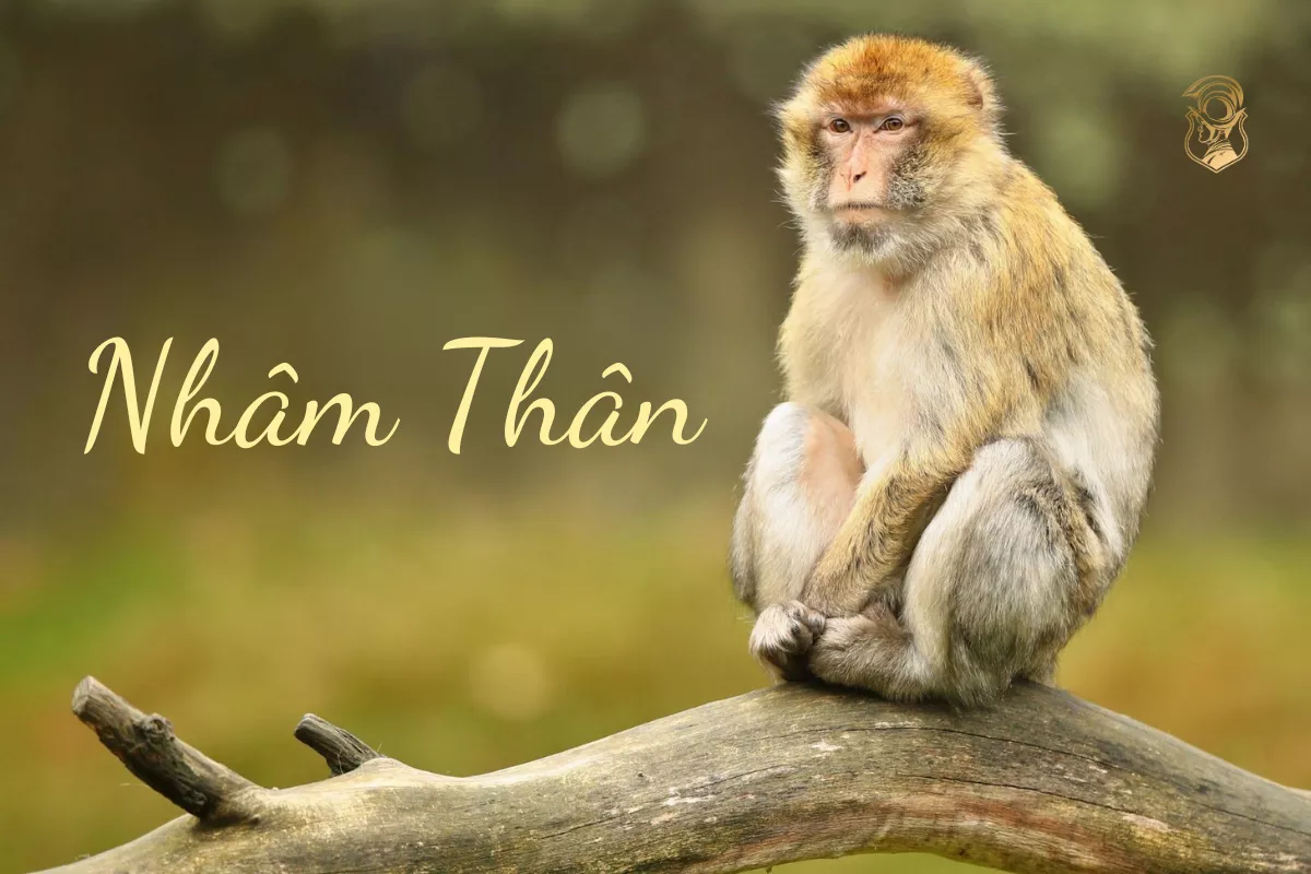 Đồng hồ dành cho người tuổi Thân