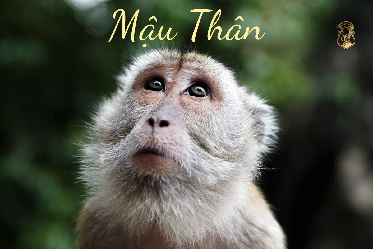 Đồng hồ dành cho người tuổi Thân