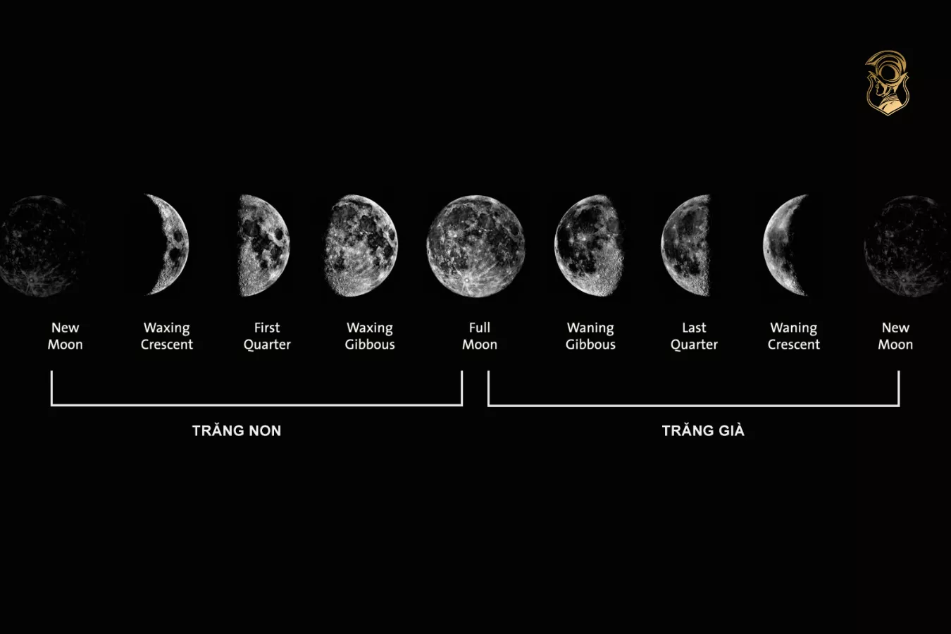 hướng dẫn chỉnh lịch moonphase trên đồng hồ moonphase