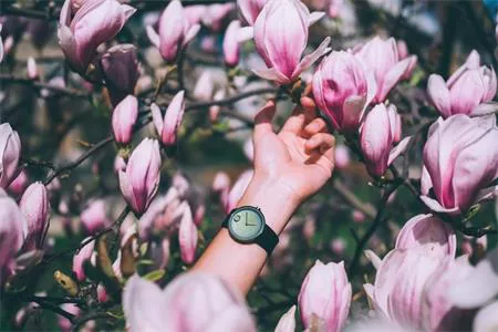 Những mẫu đồng hồ Movado nổi bật để khởi đầu năm mới