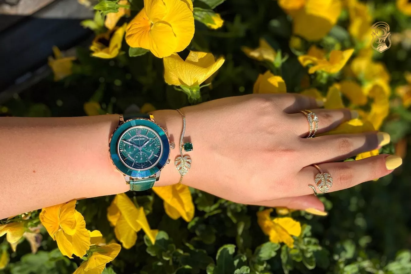 Bộ sưu tập đồng hồ Swarovski Octea Chrono 