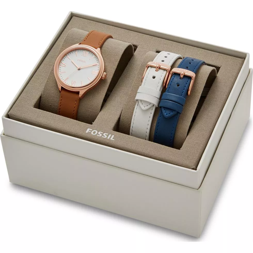 Fossil Suitor Interchangeable Box Set 36mm  