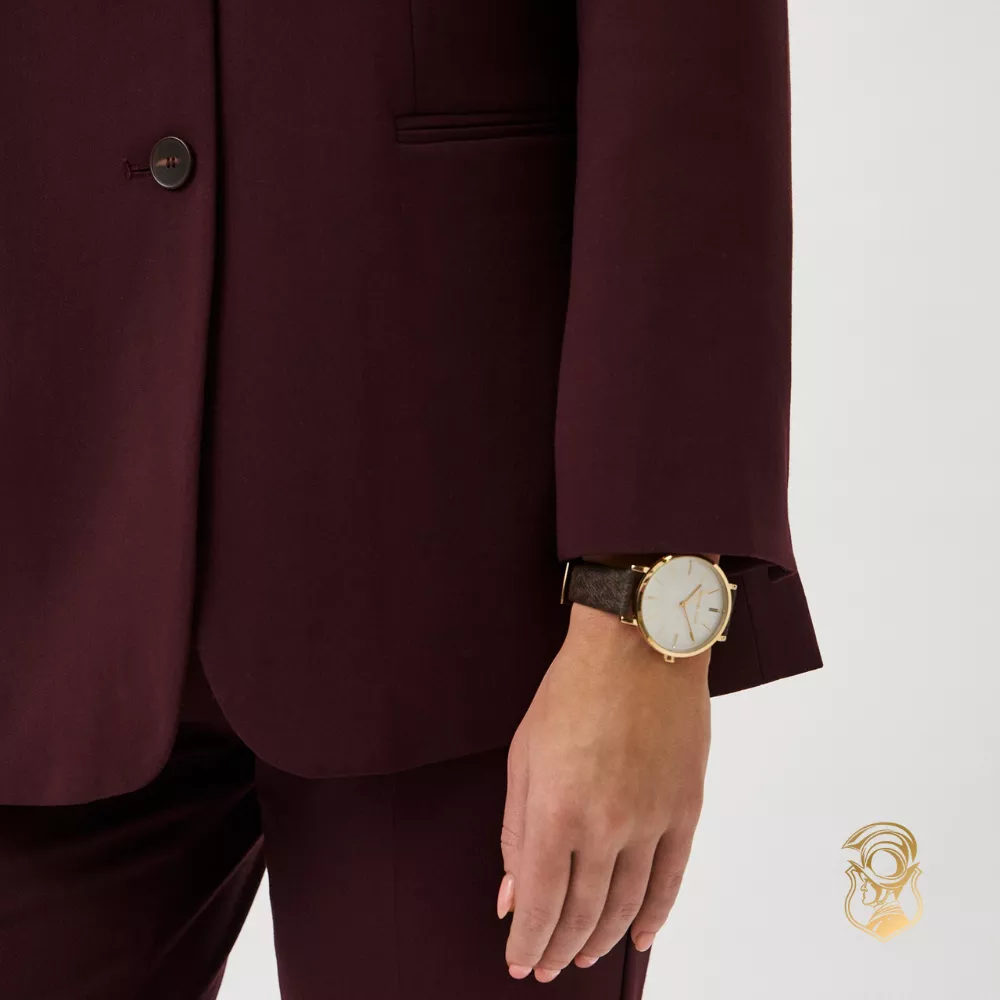 Michael Kors Addyson Silver Dial Brown Watch 39mm