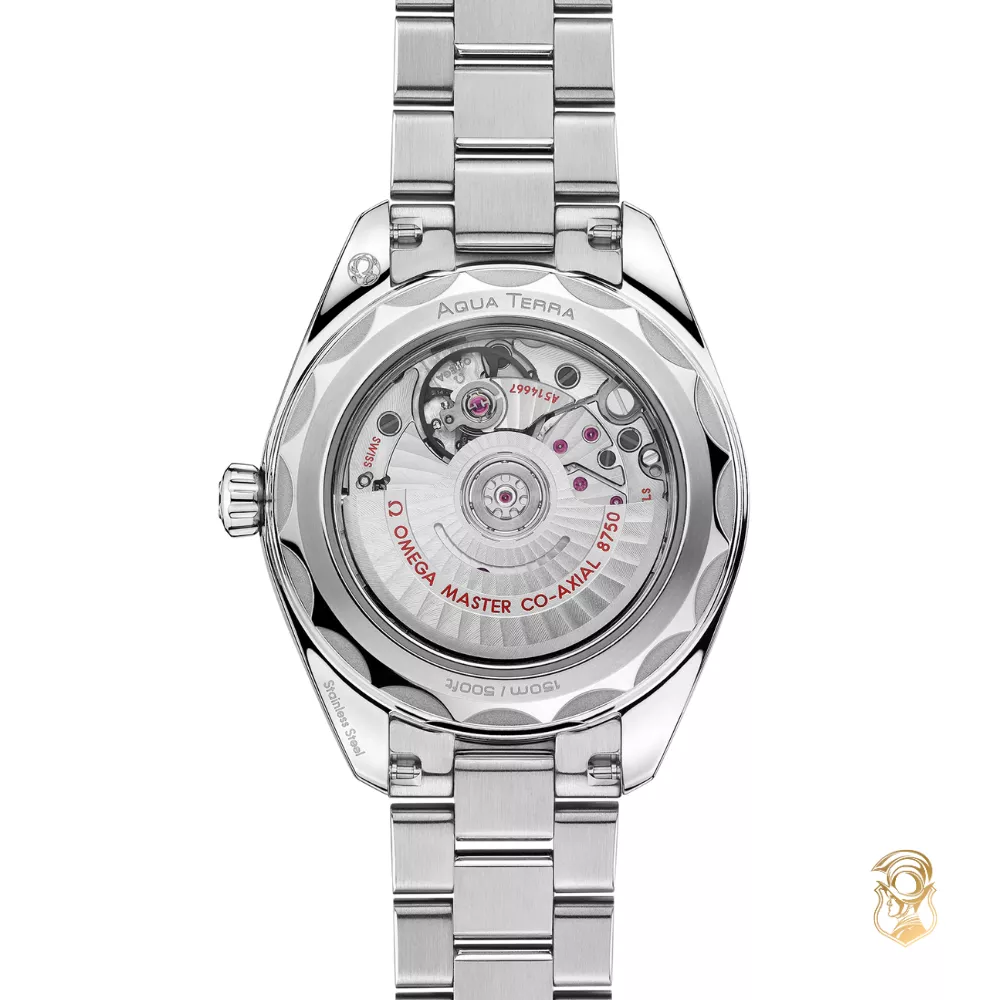 Omega New Seamaster 220.10.30.20.01.001 Aqua Terra 150M Watch 30mm