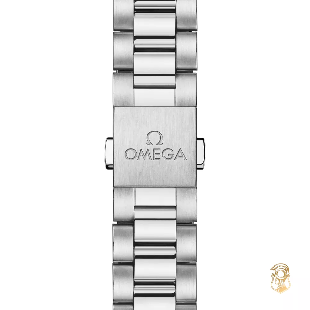 Omega New Seamaster 220.10.30.20.02.001 Aqua Terra 150M Watch 30mm