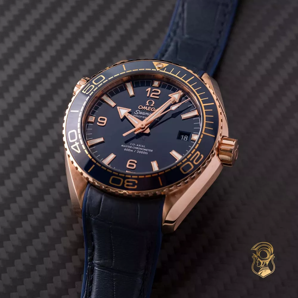 Omega Planet Ocean 215.63.44.21.03.001 Watch 43.5mm