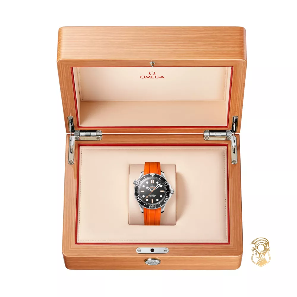 Omega Seamaster 210.32.42.20.01.006 Diver 300M Watch 42mm