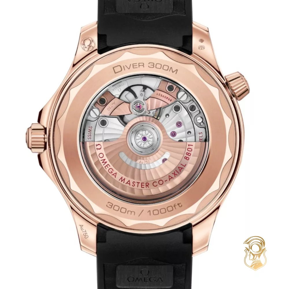 Omega Seamaster 210.62.42.20.01.002 Diver 300M Watch 42mm