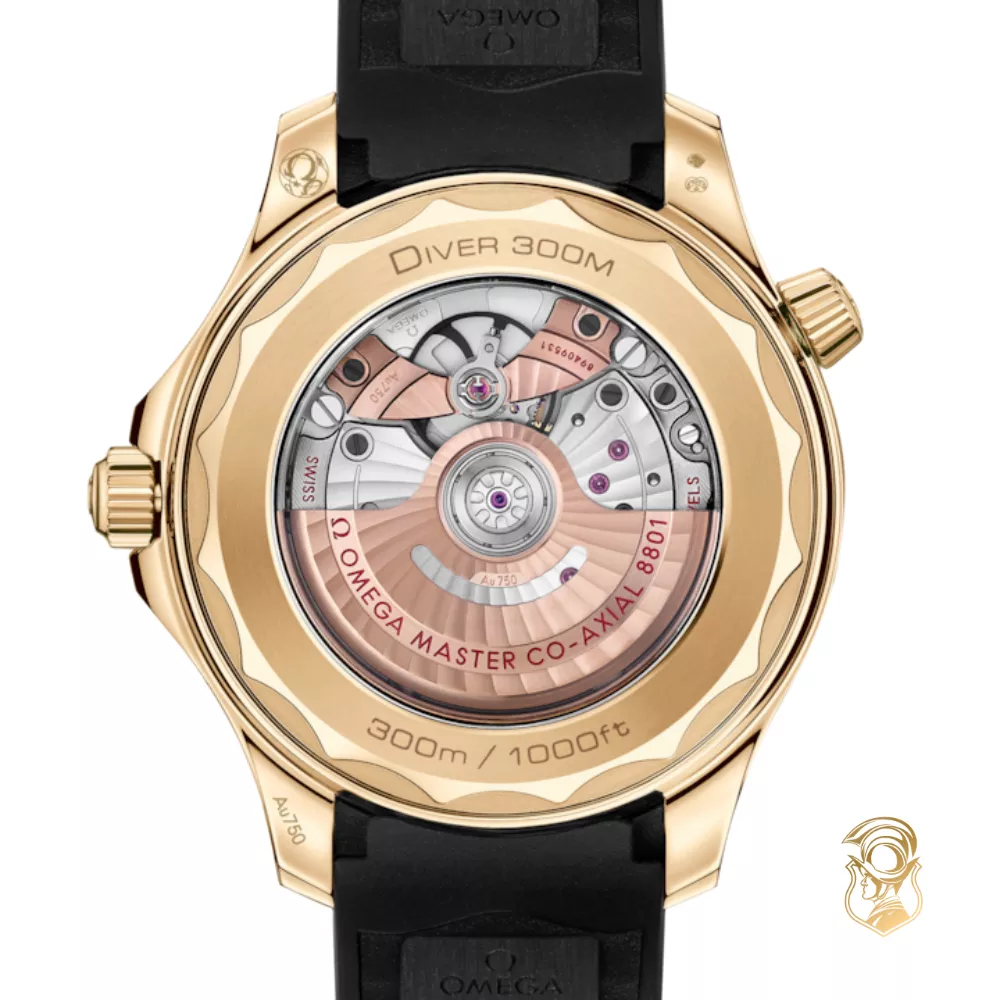 Omega Seamaster 210.62.42.20.01.003 Diver 300M Watch 42mm