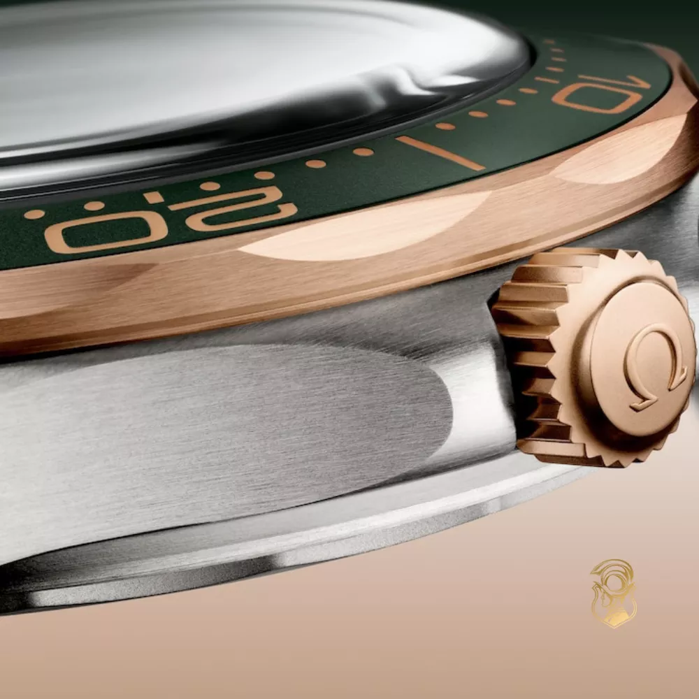 Omega Seamaster 210.92.42.20.10.001 Diver 300M Watch 42mm