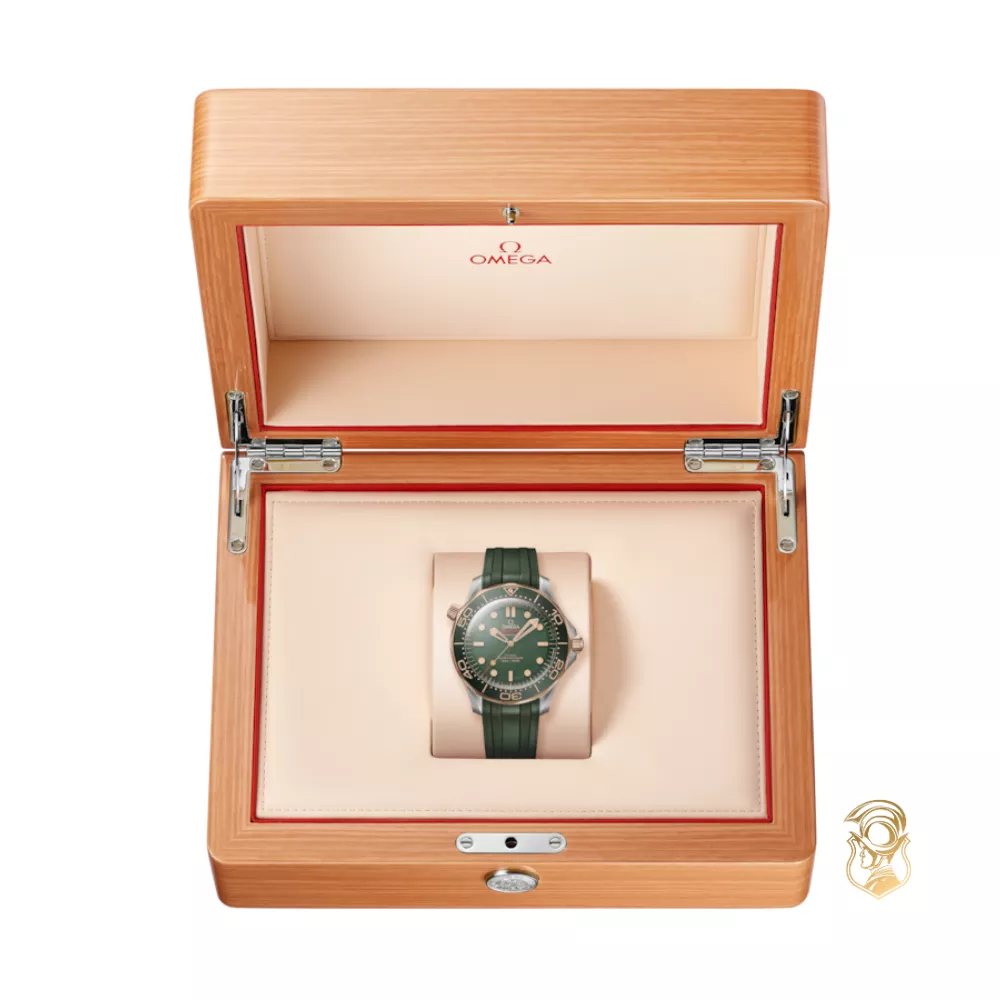 Omega Seamaster 210.92.42.20.10.001 Diver 300M Watch 42mm