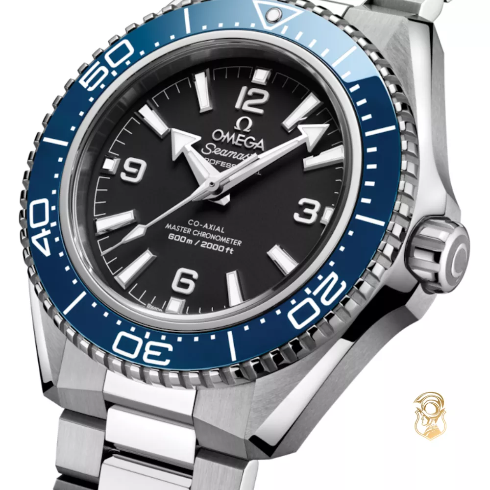 Omega Seamaster 217.30.42.21.01.002 Planet Ocean 600M Watch 42mm
