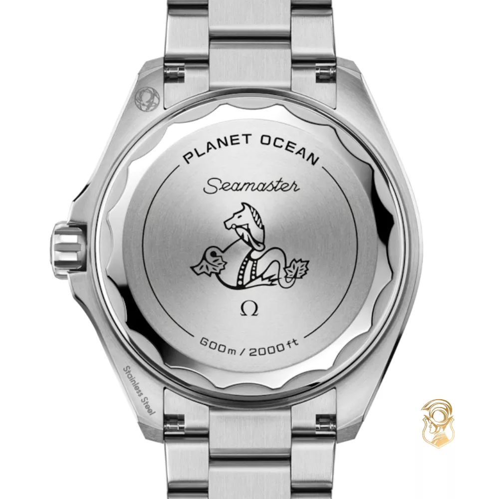 Omega Seamaster 217.30.42.21.01.002 Planet Ocean 600M Watch 42mm