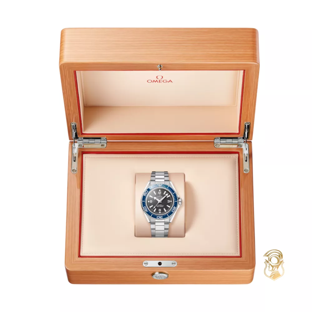 Omega Seamaster 217.30.42.21.01.002 Planet Ocean 600M Watch 42mm