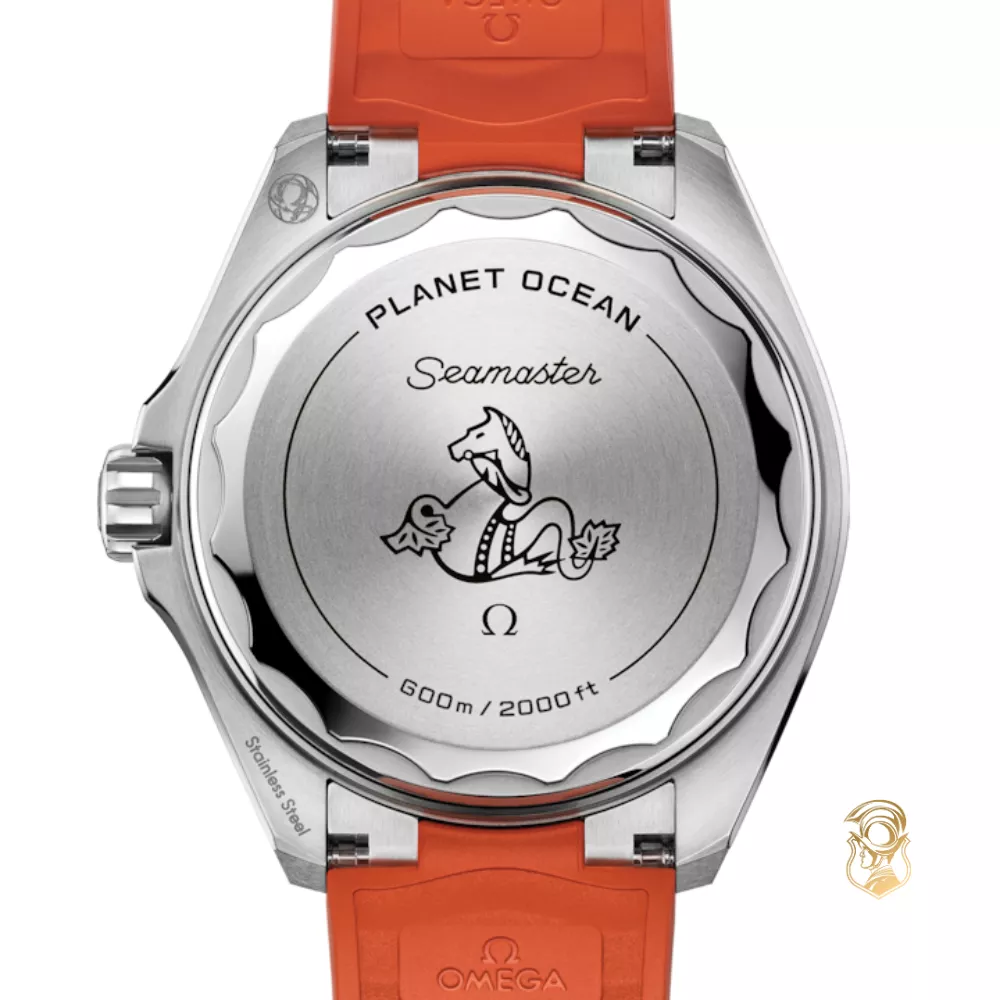 Omega Seamaster 217.32.42.21.01.004 Planet Ocean 600M 42mm