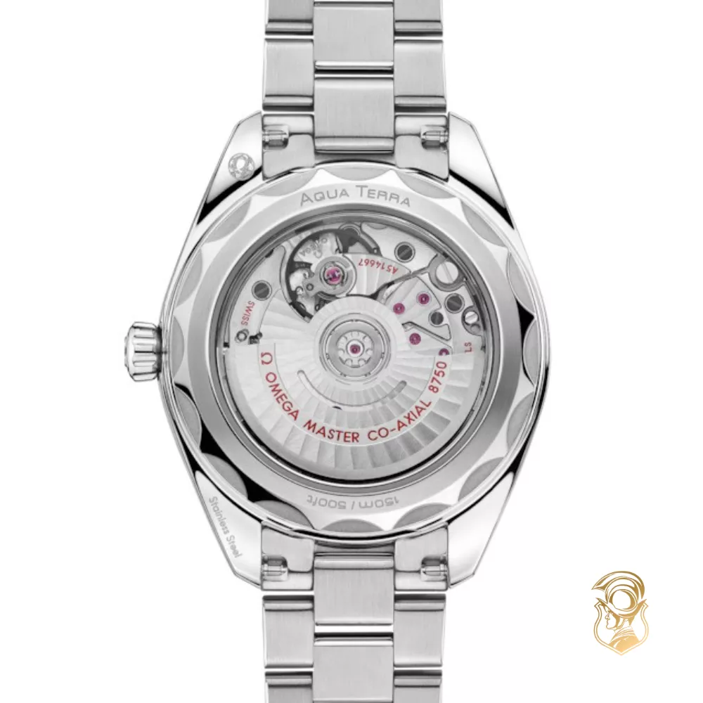 Omega Seamaster 220.10.30.20.10.002 Aqua Terra 150M Watch 30mm