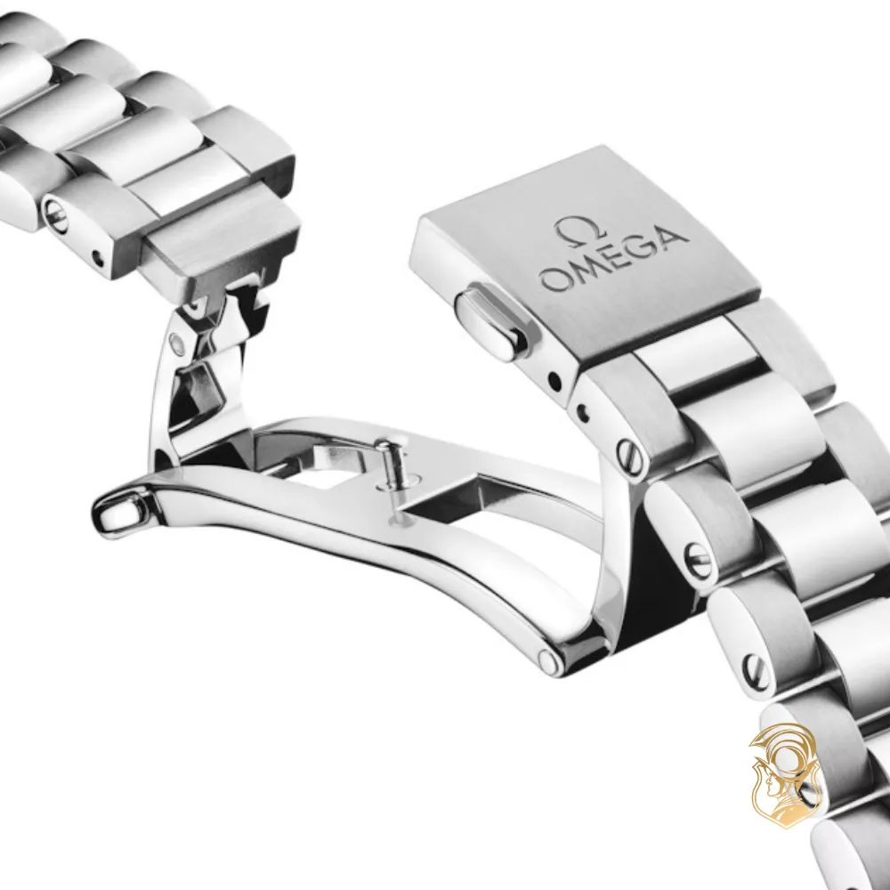Omega Seamaster 220.10.30.20.10.002 Aqua Terra 150M Watch 30mm