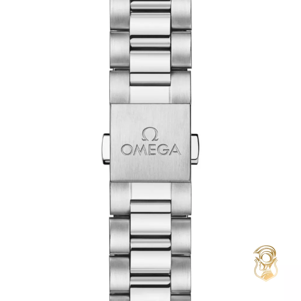 Omega Seamaster 220.10.30.20.10.002 Aqua Terra 150M Watch 30mm