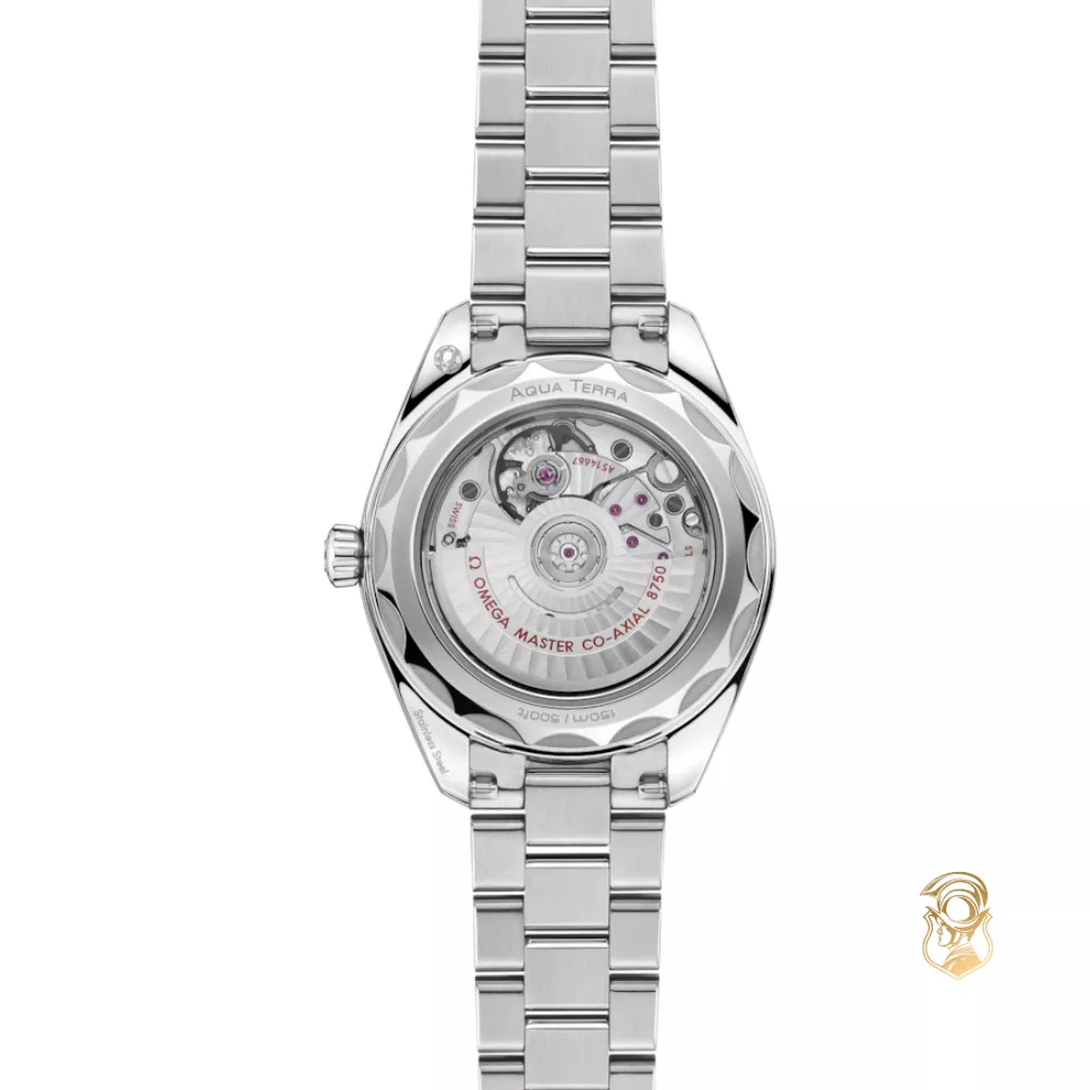 Omega Seamaster 220.10.30.20.60.001 Aqua Terra 150M Watch 30mm